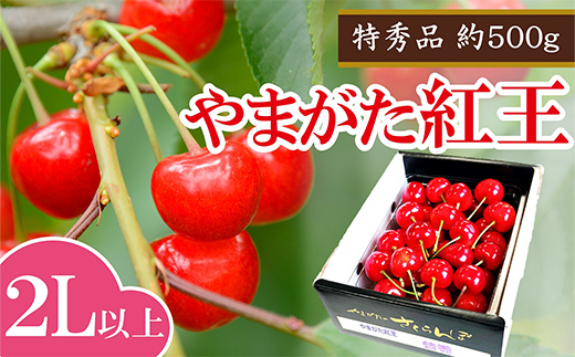 令和8年産】 さくらんぼ 「やまがた紅王」 約500g (特秀 2L以上) バラ