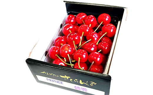 令和8年産】 さくらんぼ 「やまがた紅王」 約500g (特秀 2L以上) バラ