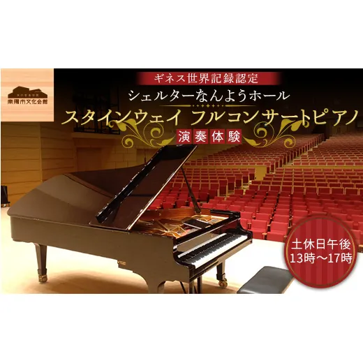 スタインウェイ フルコンサートピアノ 演奏体験 土休日午後 『シェルターなんようホール』 ギネス世界記録認定ホール 山形県 南陽市 [2723]