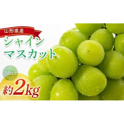 【令和9年産先行予約】 シャインマスカット 約2kg (2房以上) 《令和9年9月頃～発送》 『南陽中央青果市場』 マスカット ぶどう 果物 フルーツ デザート 山形県 南陽市 [1205-R9]