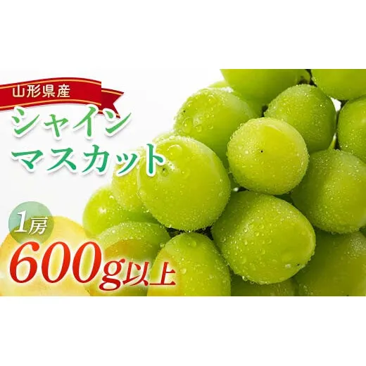 【令和9年産先行予約】 シャインマスカット 600g以上 (1房 秀) 《令和9年9月頃～発送》 『南陽中央青果市場』 マスカット ぶどう 果物 フルーツ デザート 山形県 南陽市 [1206-R9]
