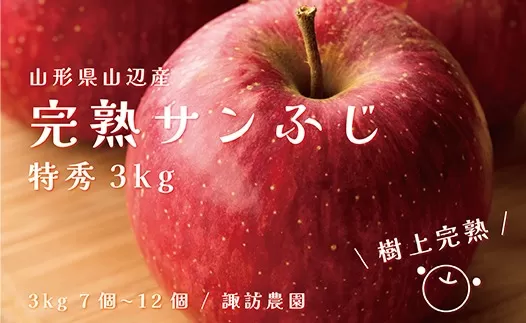 《先行予約》2024年 山形県産 完熟 サンふじ りんご 特秀品 3kg 7〜12個 2024年12月上旬から順次発送 リンゴ フルーツ F20A-902