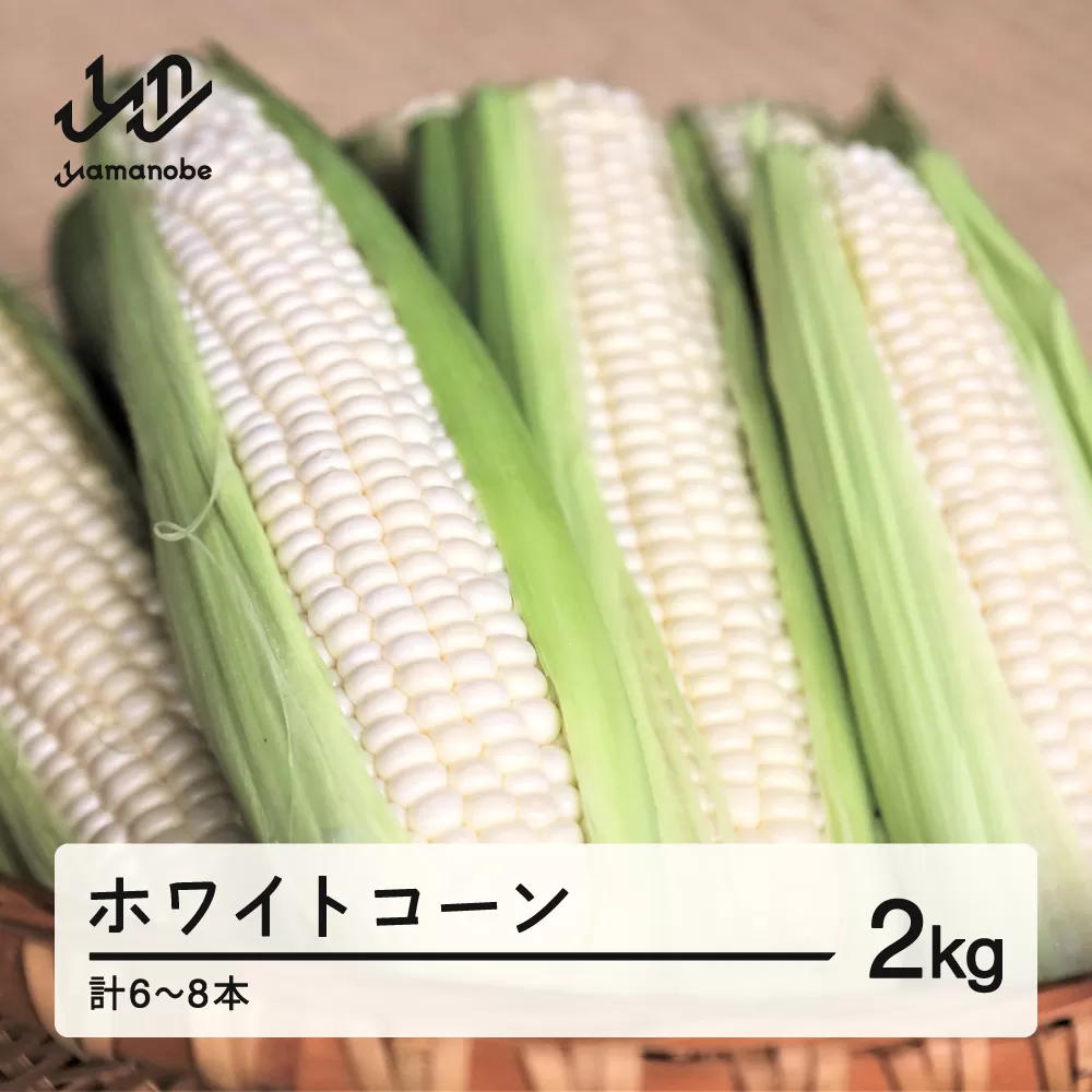 《先行予約》2025年 山形県産 ホワイトコーン 2kg(6～8本）生で味わう 白とうもろこし トウモロコシ コーン 夏 野菜 やさい ※沖縄・離島への配送不可 F21A-243