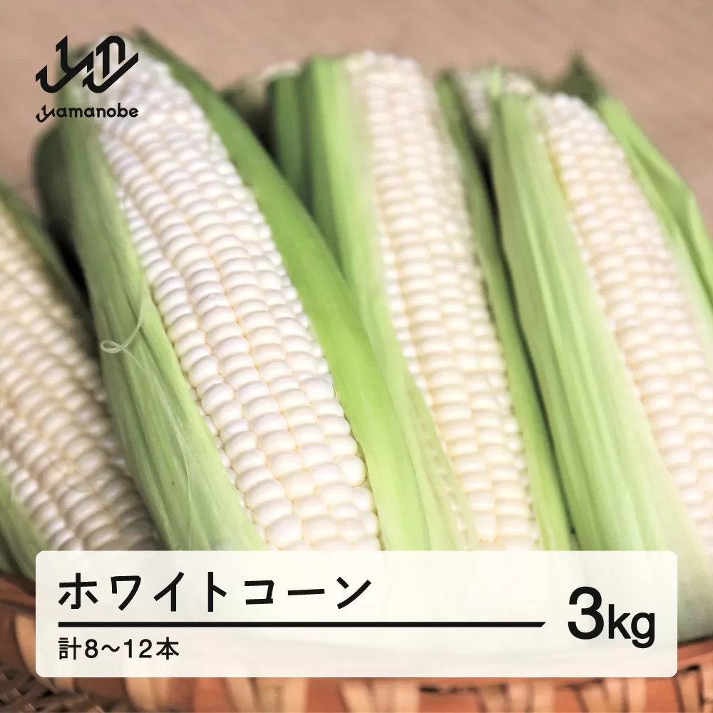 《先行予約》2025年 山形県産 ホワイトコーン 3kg(8～12本）生で味わう 白とうもろこし トウモロコシ コーン 夏 野菜 やさい ※沖縄・離島への配送不可  F21A-244
