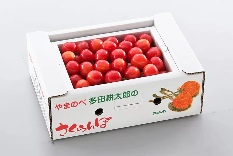 《先行予約》2024年 山形県産 佐藤錦 バラ詰め(パック）500g やまのべ多田耕太郎のさくらんぼ サクランボ F20A-038