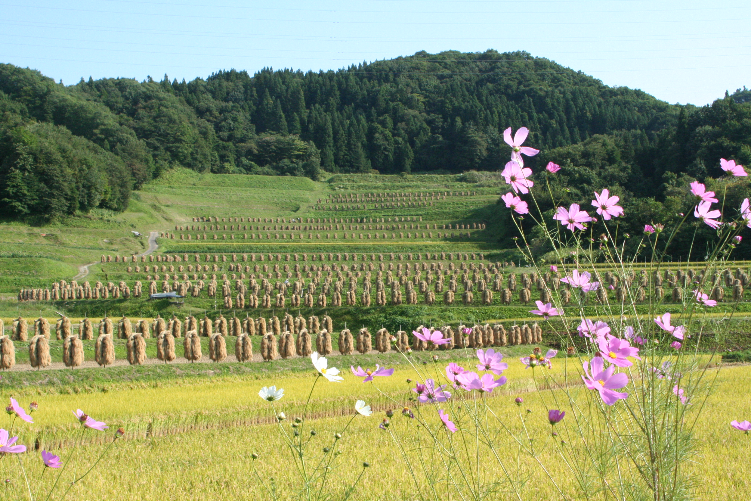 山形県山辺町