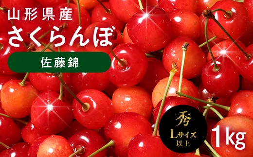 ≪2027年先行予約≫山形県産 さくらんぼ 佐藤錦 1kg(500g×2) 秀品 L以上 バラパック詰め 2027年6月中旬から順次発送 果物 くだもの フルーツ サクランボ チェリー 贈答 贈り物 ギフト プレゼント 自宅 家庭 産地直送 山形県 西川町 月山 FYN6-619