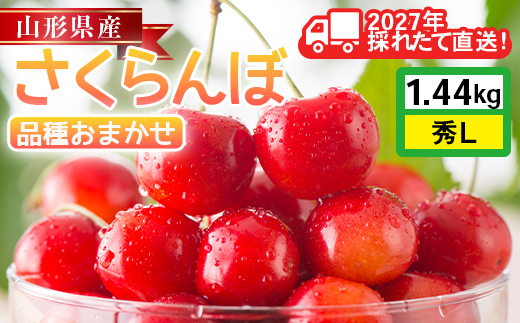 ≪2027年先行予約≫山形県産 品種おまかせ さくらんぼ(佐藤錦・紅秀峰