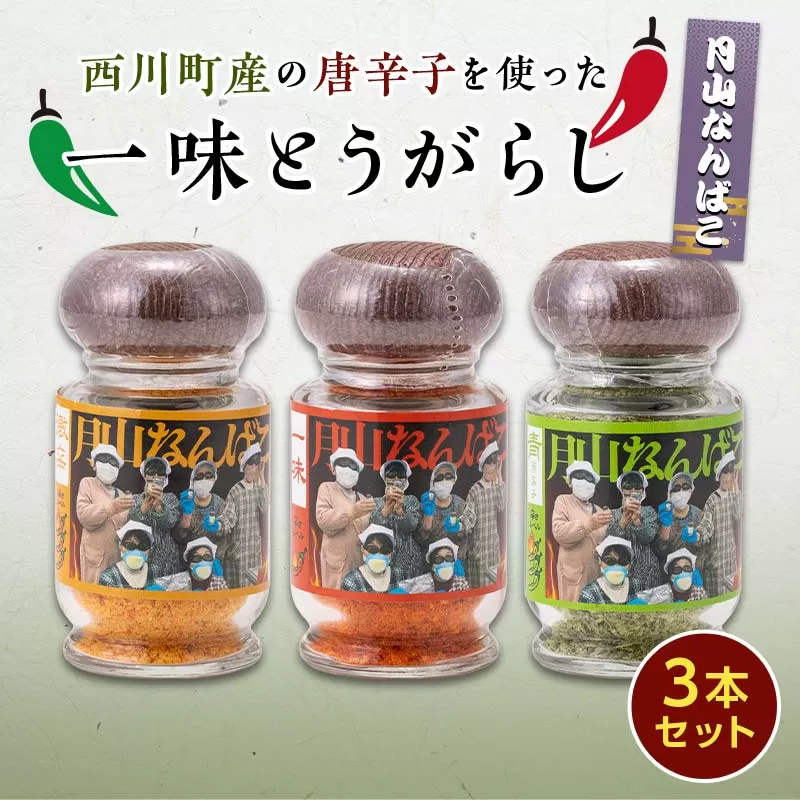 FYN9-528 山形県 西川町産 唐辛子使用！ 月山なんばこ 3種3本セット(激辛・一味・青唐辛子) 調味料 食品 香辛料 スパイス 唐辛子 とうがらし 辛い 手作り 命がけ 山形県 西川町 月山