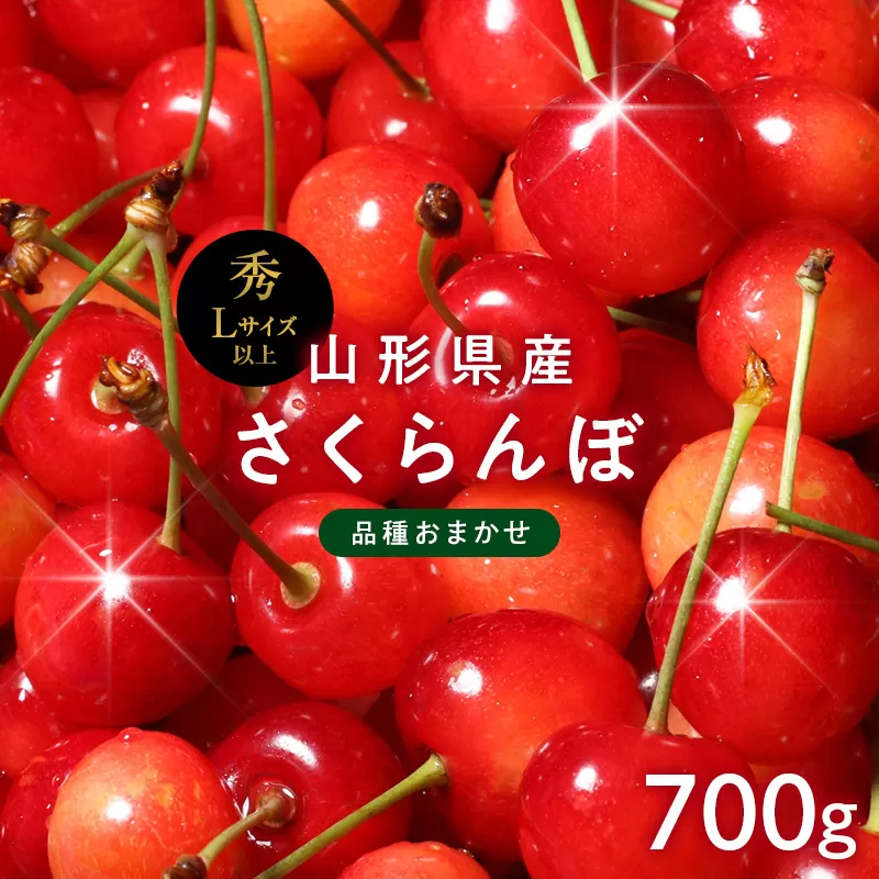 FYN6-255 ≪2026年先行予約≫山形県産 さくらんぼ 品種おまかせ(佐藤錦・紅秀峰など) 700g(350g×2) 秀/L以上 バラパック詰め 2026年6月中旬頃より発送 果物 くだもの フルーツ 夏果実 サクランボ チェリー 桜桃 高級 化粧箱 ギフト箱 贈り物 贈答 ギフト プレゼント 自宅 家庭 産地直送 山形県 西川町 月山