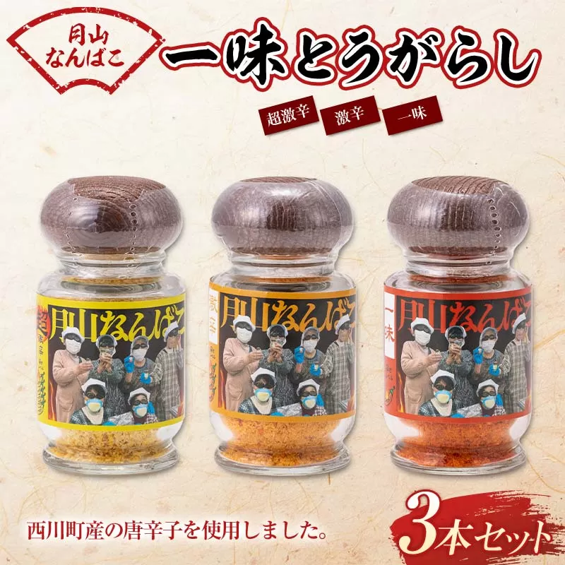FYN9-644 山形県 西川町産 唐辛子使用！ 月山なんばこ 3種3本セット(超激辛・激辛・一味) 調味料 食品 香辛料 スパイス 唐辛子 とうがらし 辛い 手作り 命がけ 山形県 西川町 月山