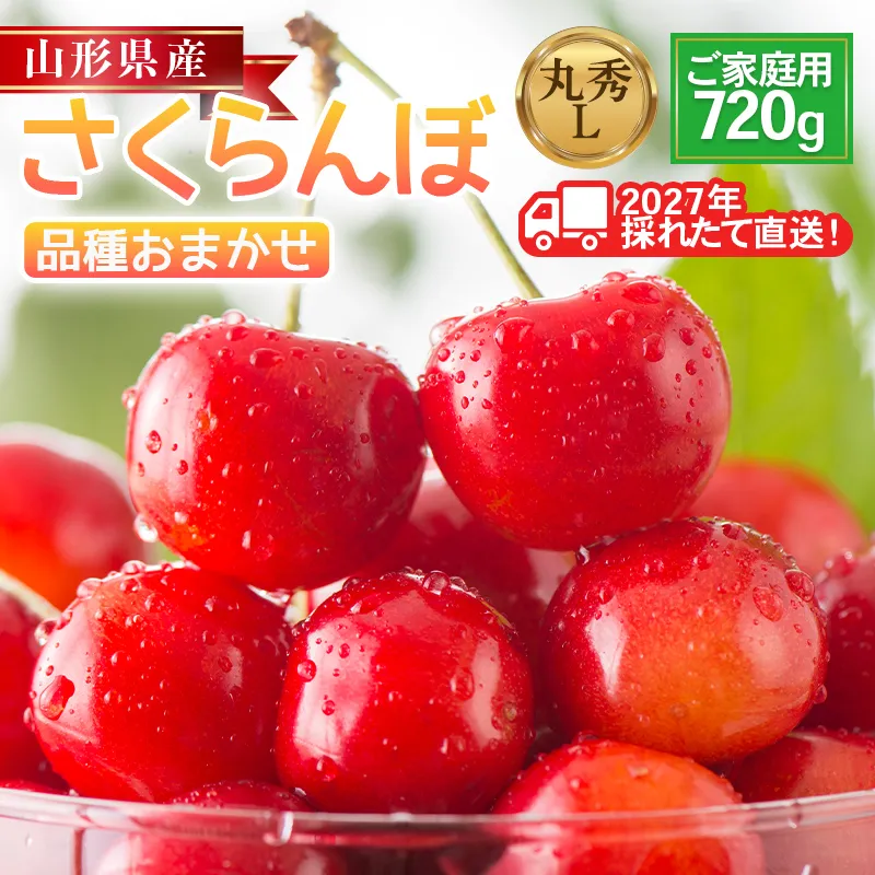 ≪2027年先行予約≫ご家庭用 山形県産 品種おまかせ さくらんぼ(佐藤錦・紅秀峰など) 720g(180g×4パック) 丸秀品 L以上 フードパック詰め 2027年6月中旬から順次発送 果物 くだもの フルーツ サクランボ チェリー 自宅 家庭 産地直送 山形県 西川町 月山 FYN6-632