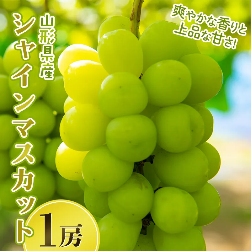 山形県産 大粒ぶどう シャインマスカット 1房(700g) 種無し 葡萄 ぶどう ブドウ マスカット 果物 くだもの フルーツ 贈答 贈り物 ギフト プレゼント 自宅 家庭 山形県 西川町 月山 FYN6-636