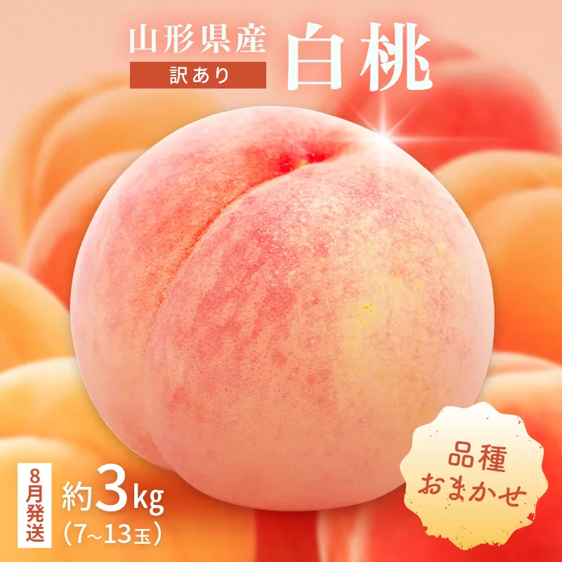 ≪2026年先行予約≫ ご家庭用 8月発送 山形県産 品種おまかせ 白桃 約3kg(7〜13玉) 2026年8月上旬から順次発送 はくとう 桃 もも モモ 果物 くだもの 夏果実 フルーツ 訳あり 農業者支援 家庭用 自宅用 産地直送 山形県 西川町 月山 FYN9-731