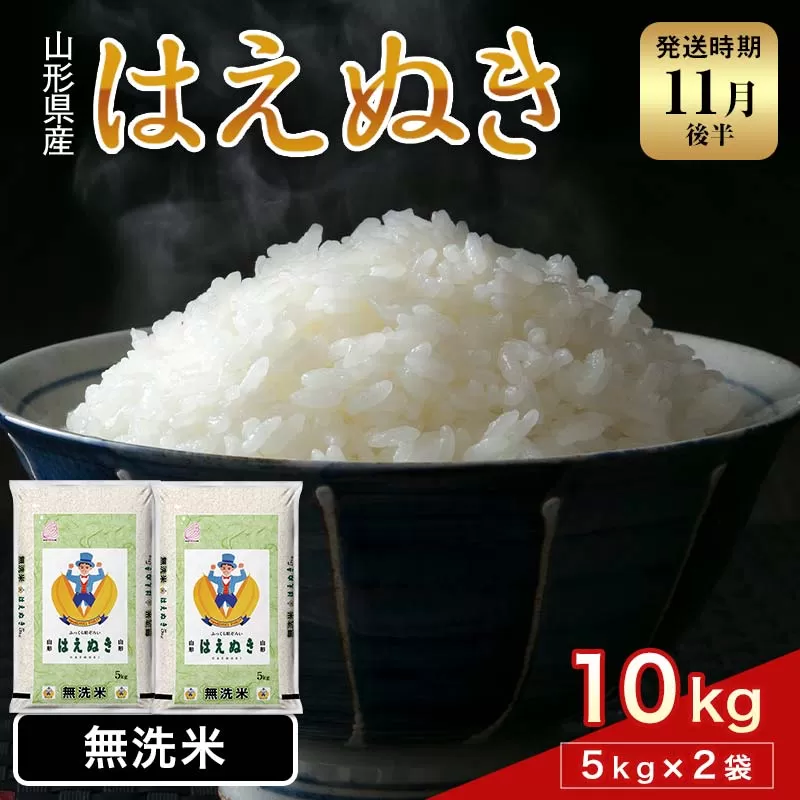 FYN1-955 【11月後半発送】令和7年産 新米 山形県産 はえぬき 10kg 2025年 お米 米 米米 ごはん ご飯 白米 国産 ブランド米 節水 時短 冷めてもおいしい贈答 ギフト 家庭用 自宅用 お取り寄せ 食品 山形県 西川町 月山