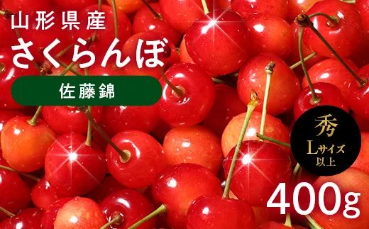 ≪2027年先行予約≫山形県産 さくらんぼ 佐藤錦 400g 秀品 L以上 バラパック詰め 2027年6月中旬から順次発送 果物 くだもの フルーツ サクランボ チェリー 贈答 贈り物 ギフト プレゼント 自宅 家庭 産地直送 山形県 西川町 月山 FYN6-615