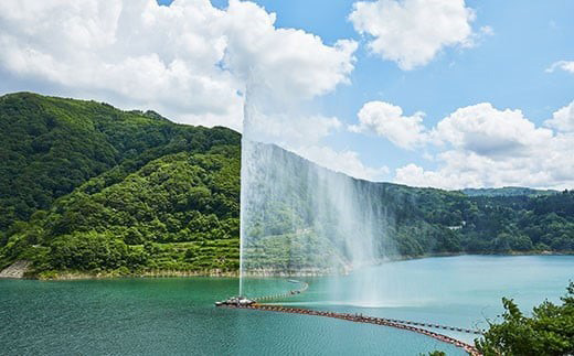 FYN9-798 ≪期間限定≫ 【山形の極み】山形県西川町産 月山自然