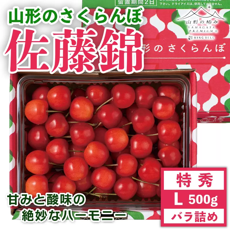 FYN9-912 贈答用 山形県産 さくらんぼ 佐藤錦 500g 特秀 L バラ詰め 2025年6月中旬から順次発送 果物 くだもの フルーツ 果実 チェリー 桜桃 贈答 贈り物 ギフト プレゼント ギフト箱 期間限定 産地直送 山形県 西川町 月山