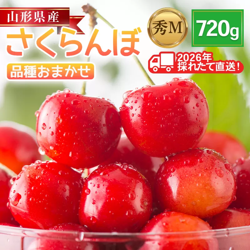 FYN6-530 ≪2026年先行予約≫山形県産 さくらんぼ 品種おまかせ(佐藤錦・紅秀峰など) 720g(180g×4P) 秀 M以上 フードパック詰め 2026年6月中旬頃より発送 果物 くだもの フルーツ サクランボ チェリー 家庭用 自宅用 産地直送 山形県 西川町 月山