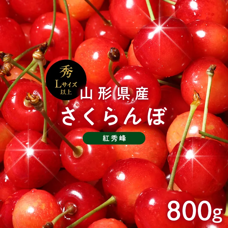 ≪2027年先行予約≫山形県産 さくらんぼ 紅秀峰 800g(400g×2) 秀品 L以上 バラパック詰め 2027年6月中旬から順次発送 果物 くだもの フルーツ サクランボ チェリー 贈答 贈り物 ギフト プレゼント 自宅 家庭 産地直送 山形県 西川町 月山 FYN6-624