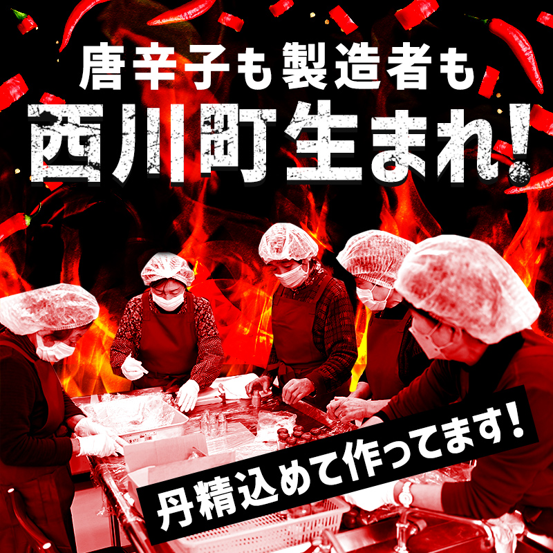 山形県 西川町産 唐辛子使用！ 月山なんばこ 4種4本セット 調味料 食品