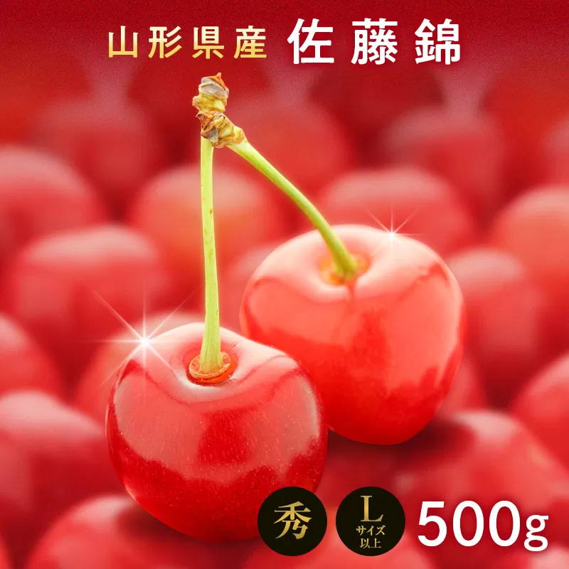 FYN9-601 《2026年先行予約》山形県産 さくらんぼ 佐藤錦 500g 秀 L以上 バラパック詰め 2026年6月上旬から順次発送 果実 果物くだもの フルーツ 桜桃 サクランボ 化粧箱 贈り物 ギフト 贈答用 家庭用 自宅用 産地直送 山形県 西川町 月山
