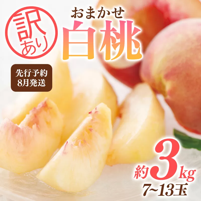 FYN9-731 ≪2025年先行予約≫ ご家庭用 8月発送 山形県産 品種おまかせ 白桃 約3kg(7～13玉) 2025年8月上旬から順次発送 はくとう 桃 もも モモ 果物 くだもの 夏果実 フルーツ 訳あり 農業者支援 家庭用 自宅用 産地直送 山形県 西川町 月山