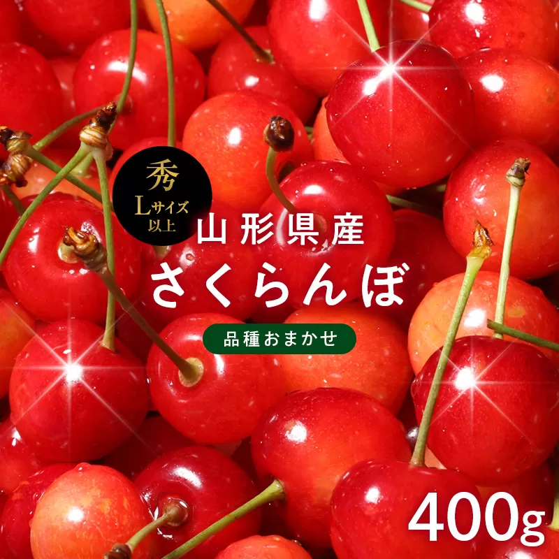 FYN6-252 ≪2026年先行予約≫山形県産 さくらんぼ 品種おまかせ(佐藤錦・紅秀峰など) 400g 秀/L以上 バラパック詰め 2026年6月中旬頃より発送 果物 くだもの フルーツ 夏果実 サクランボ チェリー 桜桃 高級 化粧箱 ギフト箱 贈り物 贈答 ギフト プレゼント 自宅 家庭 産地直送 山形県 西川町 月山