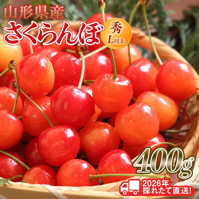 FYN6-252 ≪2026年先行予約≫山形県産 さくらんぼ 品種おまかせ(佐藤錦・紅秀峰など) 400g 秀/L以上 バラパック詰め 2026年6月中旬頃より発送 果物 くだもの フルーツ 夏果実 サクランボ チェリー 桜桃 高級 化粧箱 ギフト箱 贈り物 贈答 ギフト プレゼント 自宅 家庭 産地直送 山形県 西川町 月山