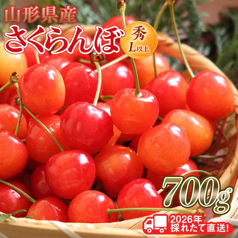 FYN6-255 ≪2026年先行予約≫山形県産 さくらんぼ 品種おまかせ(佐藤錦・紅秀峰など) 700g(350g×2) 秀/L以上 バラパック詰め 2026年6月中旬頃より発送 果物 くだもの フルーツ 夏果実 サクランボ チェリー 桜桃 高級 化粧箱 ギフト箱 贈り物 贈答 ギフト プレゼント 自宅 家庭 産地直送 山形県 西川町 月山