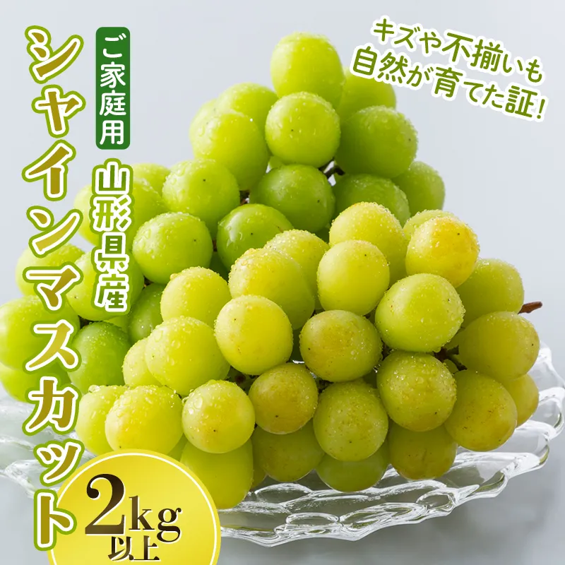 ご家庭用 山形県産 大粒ぶどう シャインマスカット 2kg以上(4~7房) 種無し 葡萄 ぶどう ブドウ マスカット 果物 くだもの フルーツ 規格外 訳あり ワケアリ 自宅 家庭 山形県 西川町 月山 FYN6-635