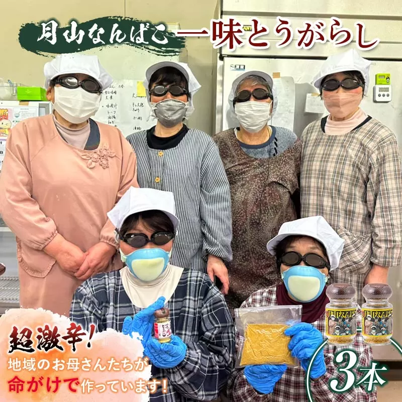 FYN9-733 山形県 西川町産 唐辛子使用！ 月山なんばこ 超激辛 3本セット 調味料 食品 香辛料 スパイス 唐辛子 とうがらし 辛い 手作り 命がけ 山形県 西川町 月山