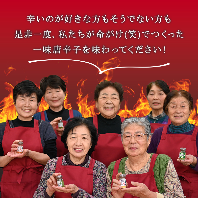 山形県 西川町産 唐辛子使用！ 月山なんばこ 4種4本セット 調味料 食品
