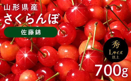 ≪2027年先行予約≫山形県産 さくらんぼ 佐藤錦 700g(350g×2) 秀品 L以上 バラパック詰め 2027年6月中旬から順次発送 果物 くだもの フルーツ サクランボ チェリー 贈答 贈り物 ギフト プレゼント 自宅 家庭 産地直送 山形県 西川町 月山 FYN6-617