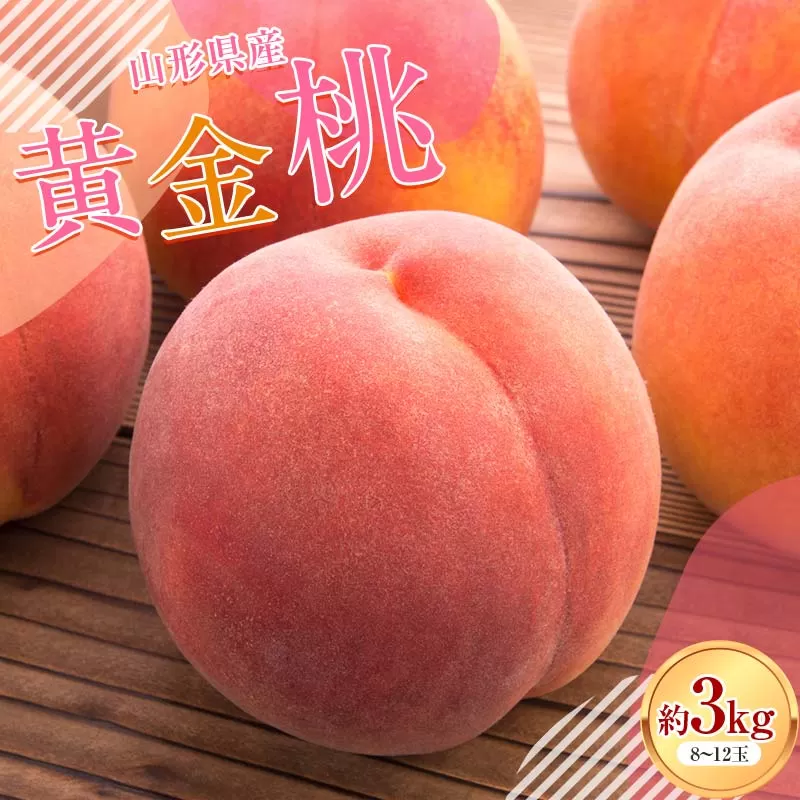 FYN6-114 ≪2026年先行予約≫山形県産 黄金桃 約3kg（8～12玉） 秀品 柔らかくなる 2026年8月中旬から順次発送 黄桃 黄色 桃 もも モモ 果物 くだもの 夏果実 フルーツ 産地直送 山形県 西川町 月山