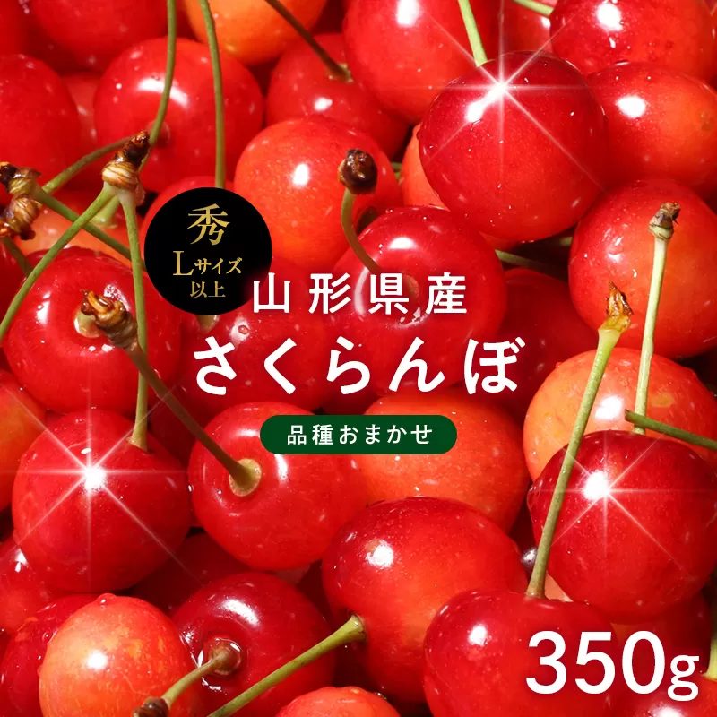 FYN6-254 ≪2026年先行予約≫山形県産 さくらんぼ 品種おまかせ(佐藤錦・紅秀峰など) 350g 秀/L以上 バラパック詰め 2026年6月中旬頃より発送 果物 くだもの フルーツ 夏果実 サクランボ チェリー 桜桃 高級 化粧箱 ギフト箱 贈り物 贈答 ギフト プレゼント 自宅 家庭 産地直送 山形県 西川町 月山