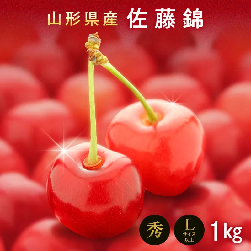 FYN9-256 《2026年先行予約》山形県産 さくらんぼ 佐藤錦 1kg(500g×2) 秀 L以上 バラパック詰め 2026年6月上旬から順次発送 果実 果物くだもの フルーツ 桜桃 サクランボ 化粧箱 贈り物 ギフト 贈答用 家庭用 自宅用 産地直送 山形県 西川町 月山