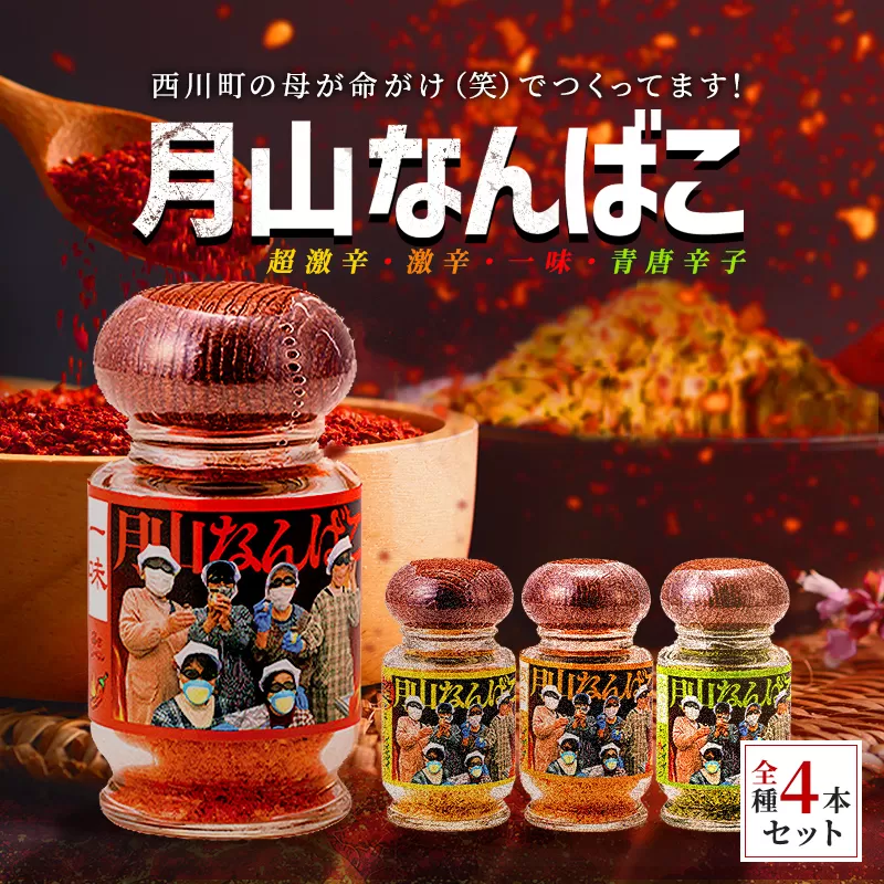 山形県 西川町産 唐辛子使用！ 月山なんばこ 4種4本セット 調味料 食品 香辛料 スパイス 唐辛子 とうがらし 辛い 手作り 命がけ 山形県 西川町 月山 FYN9-645