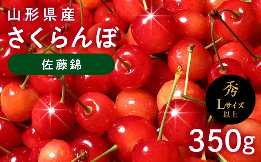 ≪2027年先行予約≫山形県産 さくらんぼ 佐藤錦 350g 秀品 L以上 バラパック詰め 2027年6月中旬から順次発送 果物 くだもの フルーツ サクランボ チェリー 贈答 贈り物 ギフト プレゼント 自宅 家庭 産地直送 山形県 西川町 月山 FYN6-614