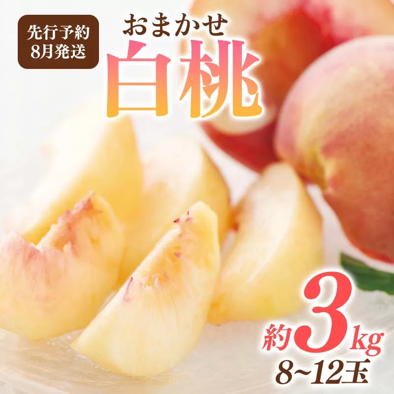 FYN6-115 ≪2026年先行予約≫8月発送 山形県産 品種おまかせ 白桃 約3kg（8～12玉） 秀品 2026年8月上旬から順次発送 桃 もも モモ 果物 くだもの 夏果実 フルーツ 産地直送 山形県 西川町 月山
