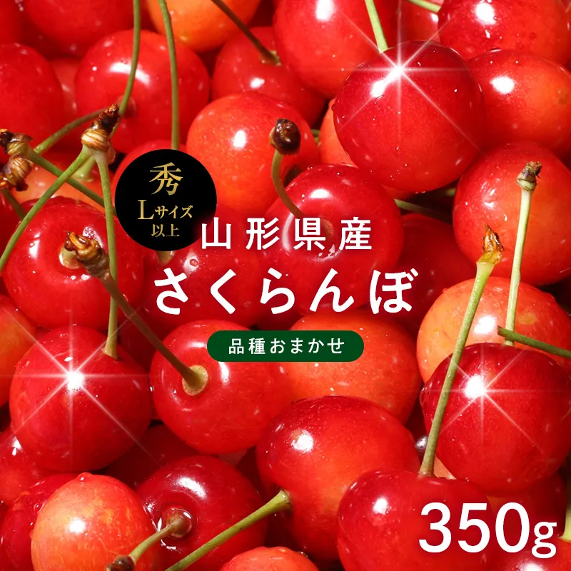 ≪2027年先行予約≫山形県産 品種おまかせ さくらんぼ(佐藤錦・紅秀峰など) 350g 秀品 L以上 バラパック詰め 2027年6月中旬から順次発送 果物 くだもの フルーツ サクランボ チェリー 贈答 贈り物 ギフト プレゼント 自宅 家庭 産地直送 山形県 西川町 月山 FYN6-608