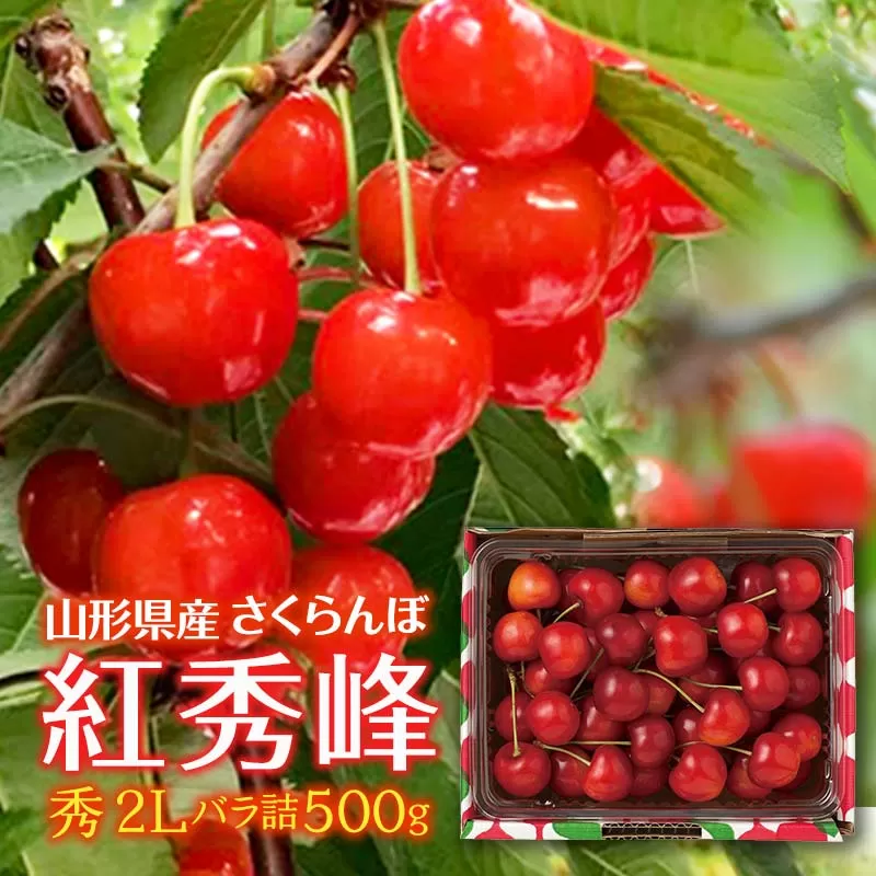 FYN6-117 山形県産 さくらんぼ 紅秀峰 500g 秀 2L バラ詰め 2025年6月下旬頃から順次発送 初夏 果物 くだもの フルーツ 贈り物 ギフト ギフト箱 期間限定 数量限定 産地直送 山形県 西川町 月山