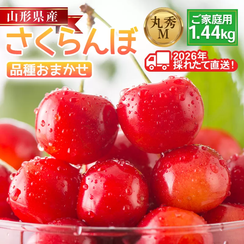 FYN6-532 ≪2026年先行予約≫ご家庭用 山形県産 さくらんぼ 品種おまかせ(佐藤錦・紅秀峰など) 1.44kg(180g×8P) 丸秀 M以上 フードパック詰め 2026年6月中旬頃より発送 果物 くだもの フルーツ サクランボ チェリー 家庭用 自宅用 産地直送 山形県 西川町 月山