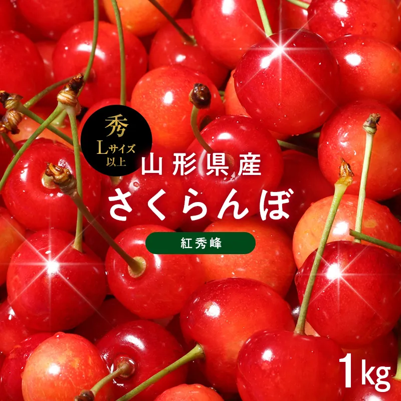 ≪2027年先行予約≫山形県産 さくらんぼ 紅秀峰 1㎏(500g×2) 秀品 L以上 バラパック詰め 2027年6月中旬から順次発送 果物 くだもの フルーツ サクランボ チェリー 贈答 贈り物 ギフト プレゼント 自宅 家庭 産地直送 山形県 西川町 月山 FYN6-625
