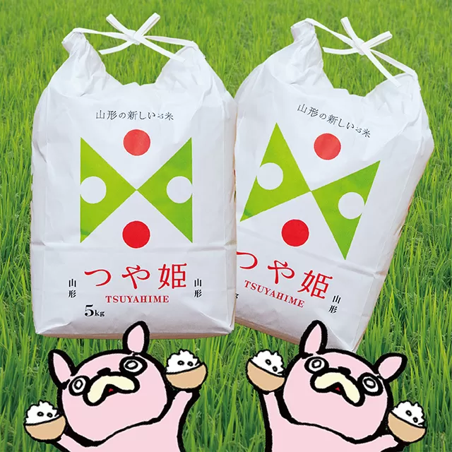 新米 つや姫 令和7年産 10kg（5kg×2袋） 精米 2025年産 こめ コメ 山形県 朝日町産
