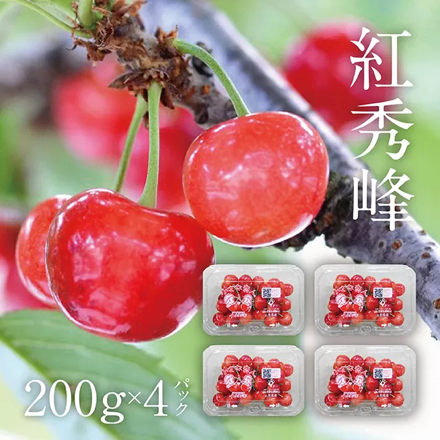 ＜先行予約＞ さくらんぼ 紅秀峰 秀品 L 800g 200g×4 パック【7月上旬発送】農家直送 山形県 朝日町産 農産物 フルーツ 山形産 バラ詰め サクランボ 高級 果物 夏