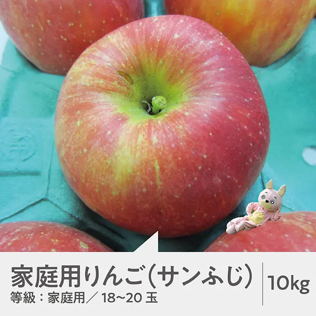 りんご 【 ご家庭用 訳あり 】 ふじりんご 10kg 【11月中旬~12月中旬発送】サンふじ ふじ リンゴ 林檎 山形県 朝日町産 山形県産 特産 果物 フルーツ リンゴ 林檎 秋 冬 送料無料