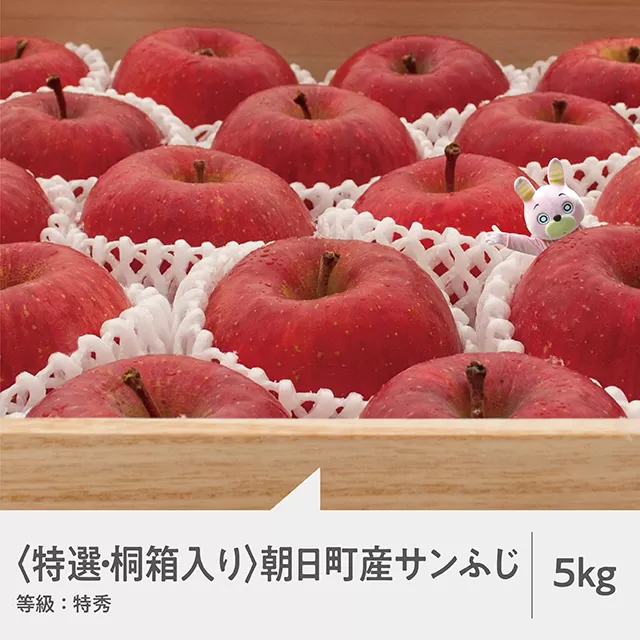 【特選　桐箱入り】りんご サンふじ 特秀 5kg 14～18玉 山形県 朝日町産 山形県産 特産 果物 贈答 お歳暮 フルーツ ふじ リンゴ 林檎 冬【12月上旬～12月下旬発送】