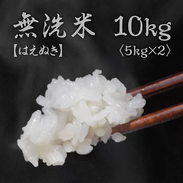 無洗米 はえぬき 令和7年産 10kg(5kg×2袋) 2025年産 山形県 朝日町産 精米 米 こめ コメ