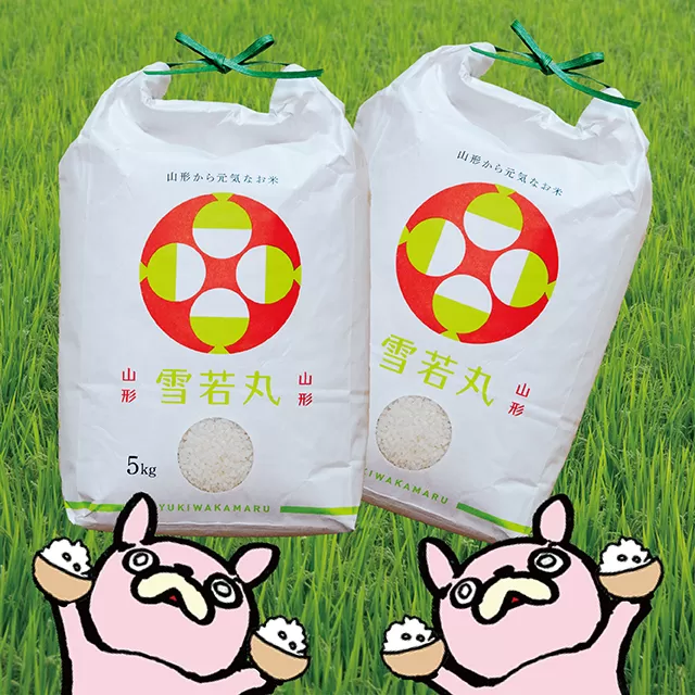 新米 雪若丸 令和7年産 10kg（5kg×2袋） こめ コメ 2025年産 精米 山形県 朝日町産 送料無料
